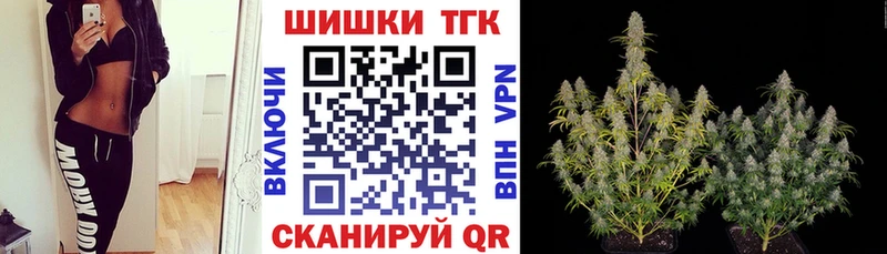 Купить закладки  Гвардейск  Каннабис конопля 